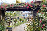 Khách sạn Garden Sapa